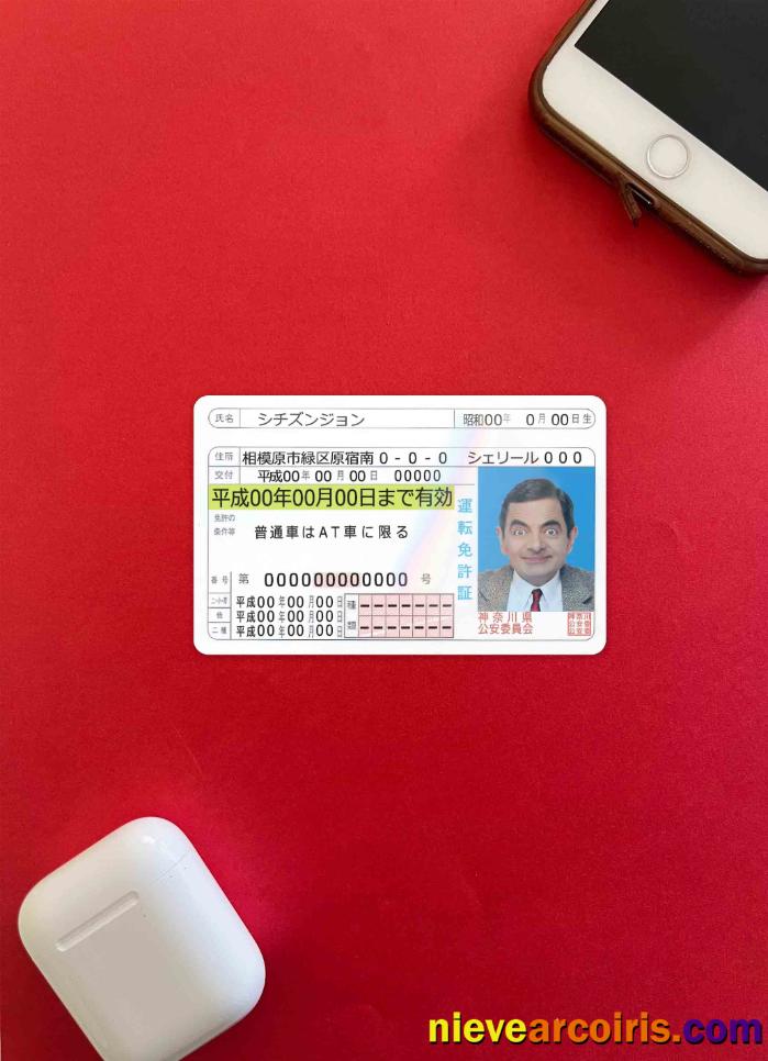 Japan driving license version 2 photolook